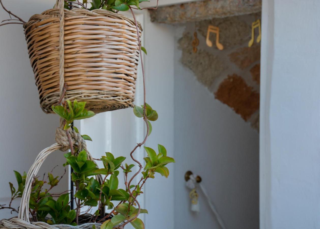 Dimora Lilla Villa Polignano a Mare Kültér fotó
